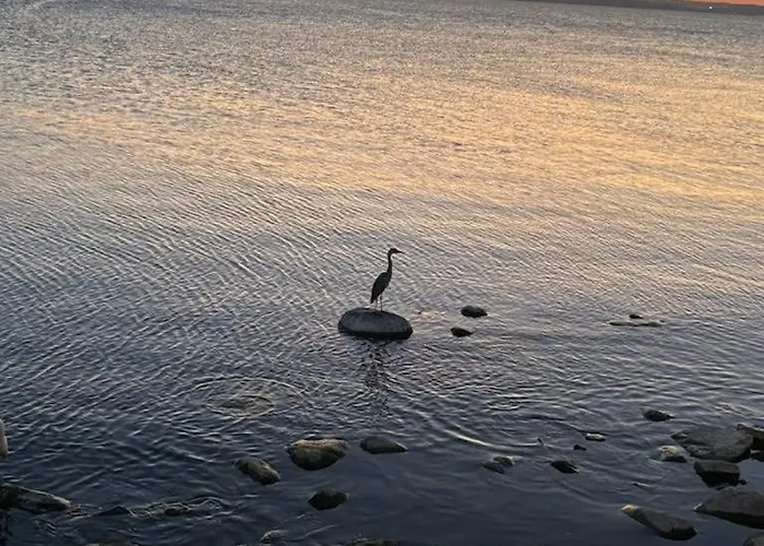 Semesterbostad Nadmorska Mila *